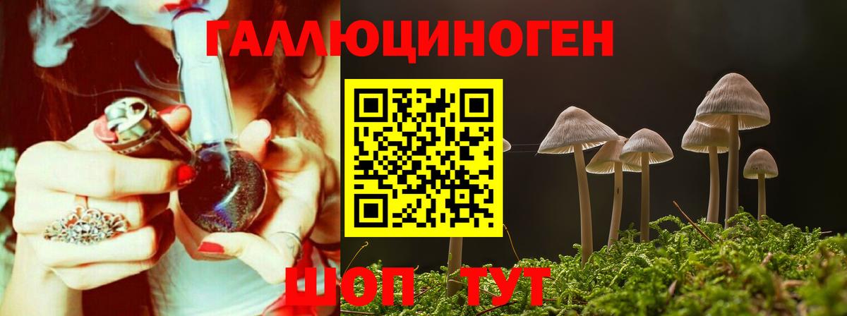 Псилоцибиновые грибы Cubensis  Галлюциногенные грибы MAGIC MUSHROOMS  Вход с VPN  Касимов 